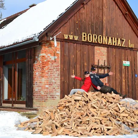 Boronaház Fogadó Szalafő Exterior foto