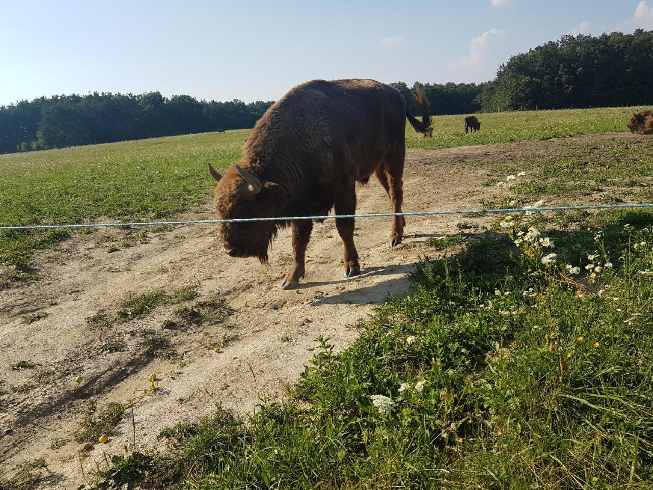 Boronaház * Szalafő